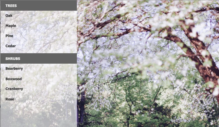 Natural shapes
