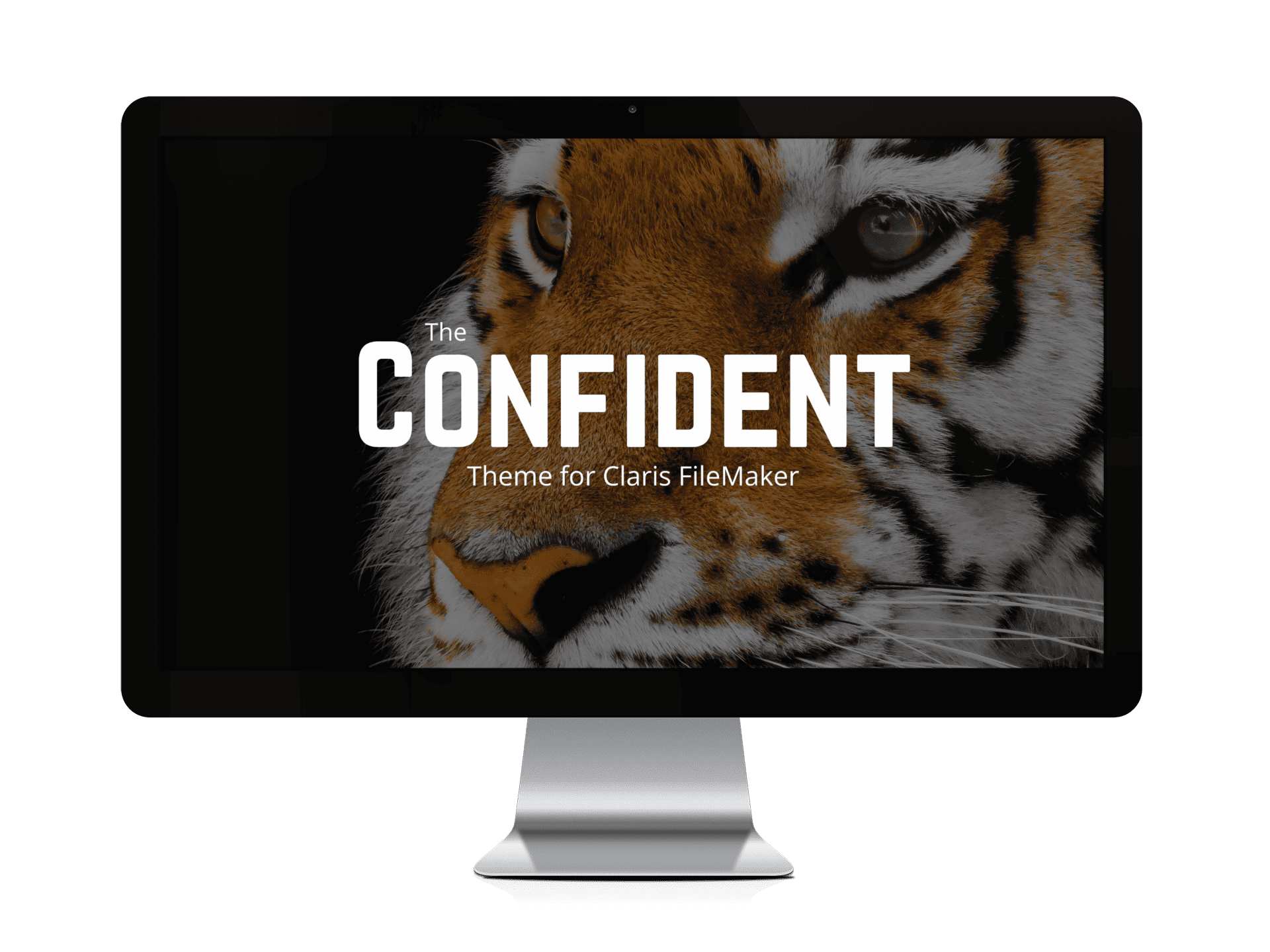 Confident FileMaker Theme Image on iMac